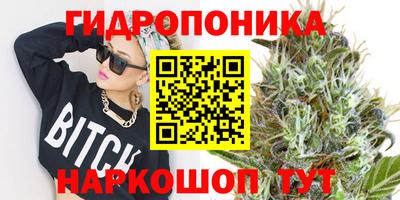 мдма Новодвинск