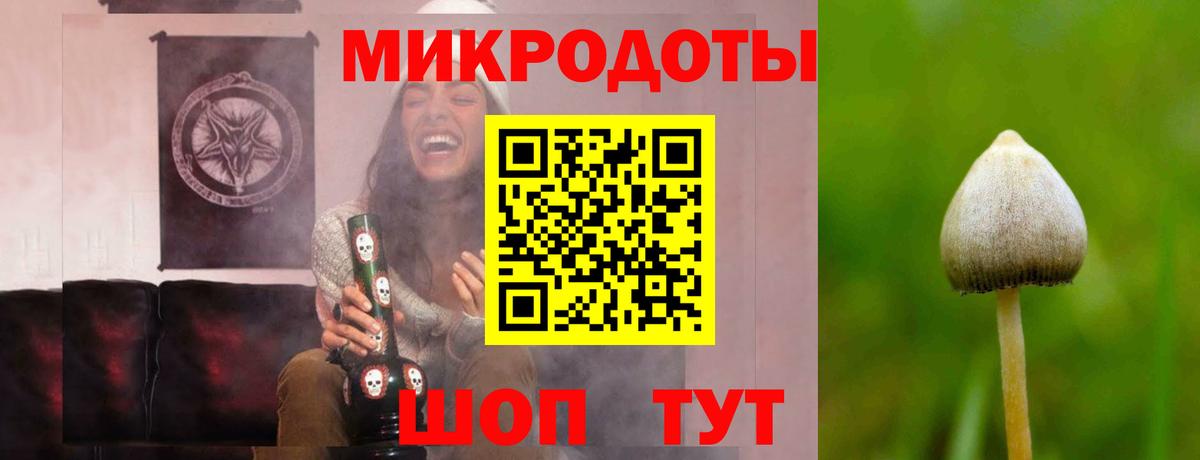 Галлюциногенные грибы MAGIC MUSHROOMS  Вход с VPN  Хабаровск 